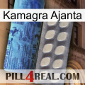Kamagra Ajanta 34